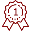 icons8 quality 100 2